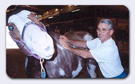 Geary Whiting Equine Massage School