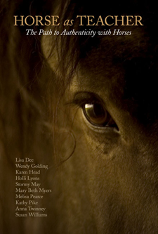 Reach Out to Horses DVDs