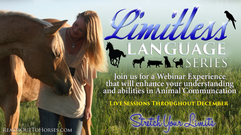 The Animal Communication - A Limitless Language Webinar Series