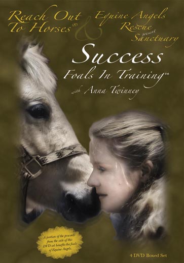 Success Foals in Training 4-DVD Comprehensive Foal Gentling System