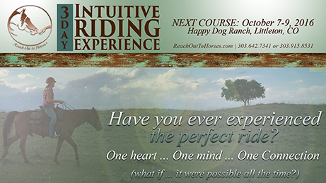 Intuitive Riding, Happy Dog Ranch, Littleton, CO