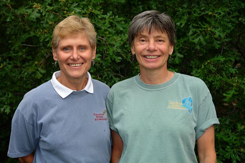 Nancy Zidonis & Amy Snow:  Co-founders of the Tallgrass Animal Acupressure Institute